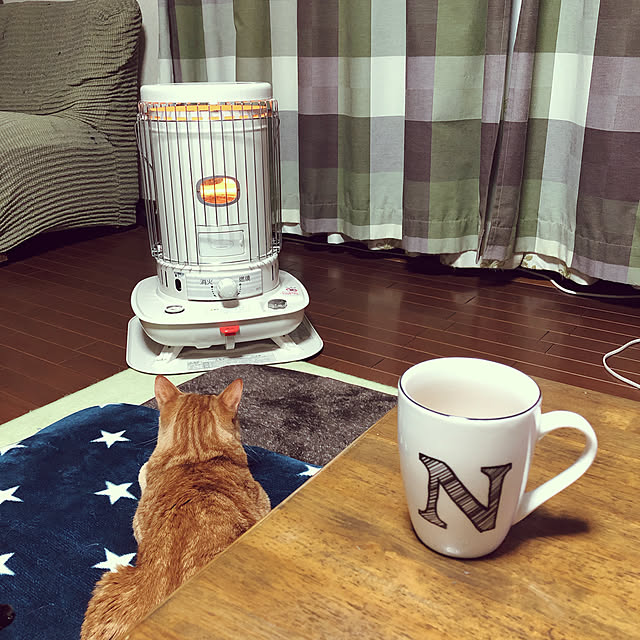 Borikoさんの実例写真