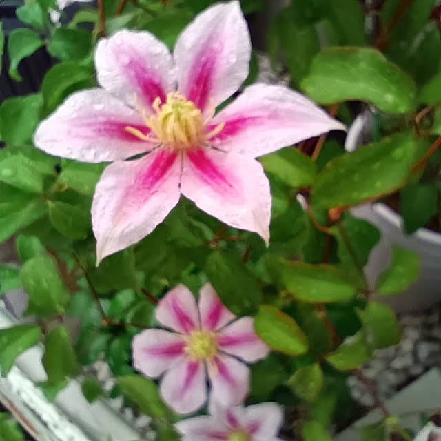 aiさんの部屋