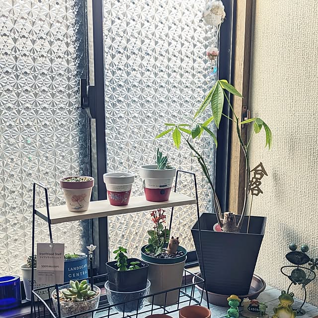 hiroさんの部屋