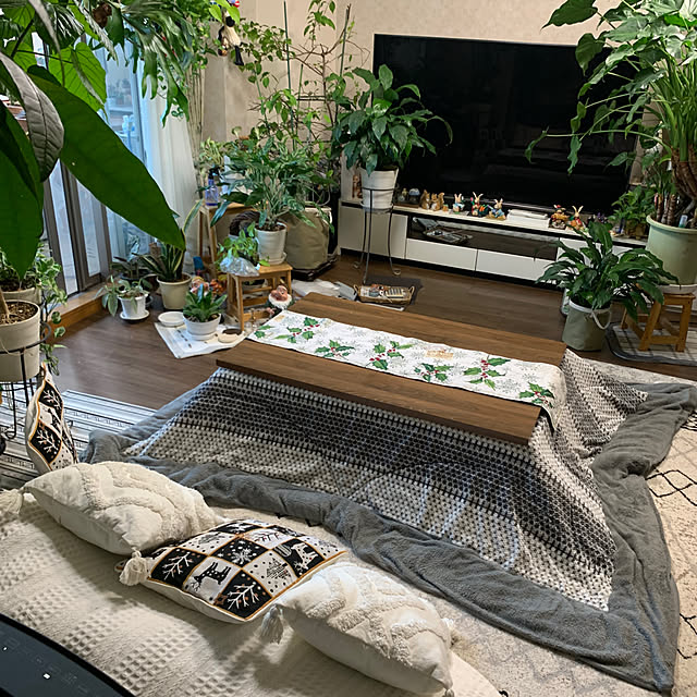 Aqettyさんの部屋