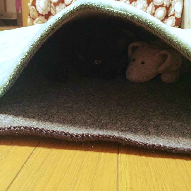 ARASHIさんの実例写真