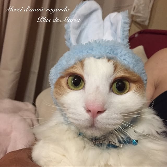 maria.rさんの実例写真