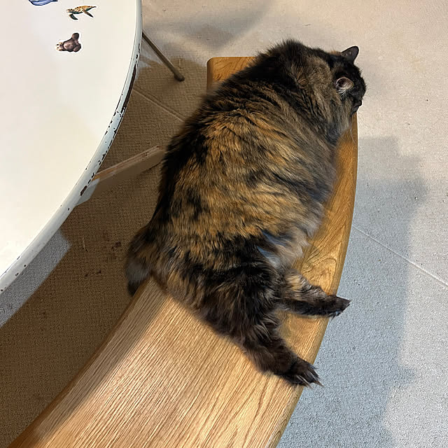 mikomaruさんの部屋