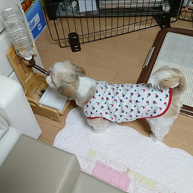 ronさんの実例写真