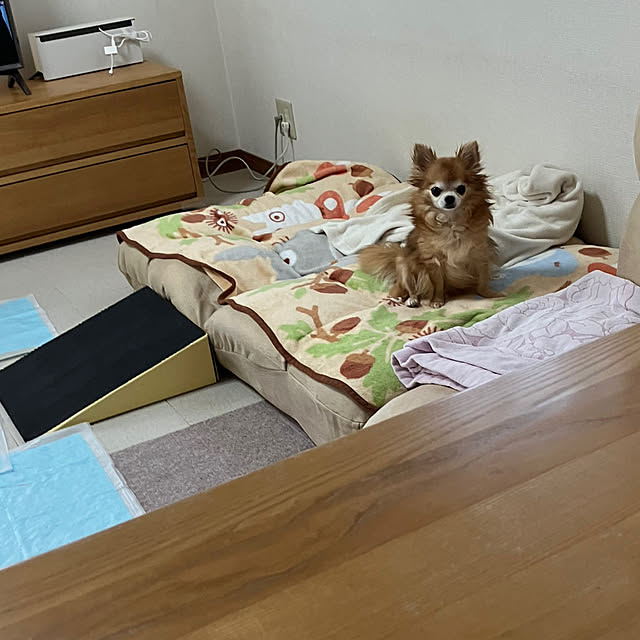 koroさんの部屋