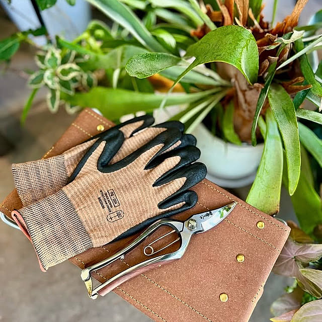 Royal_Gardeners_Clubさんの部屋