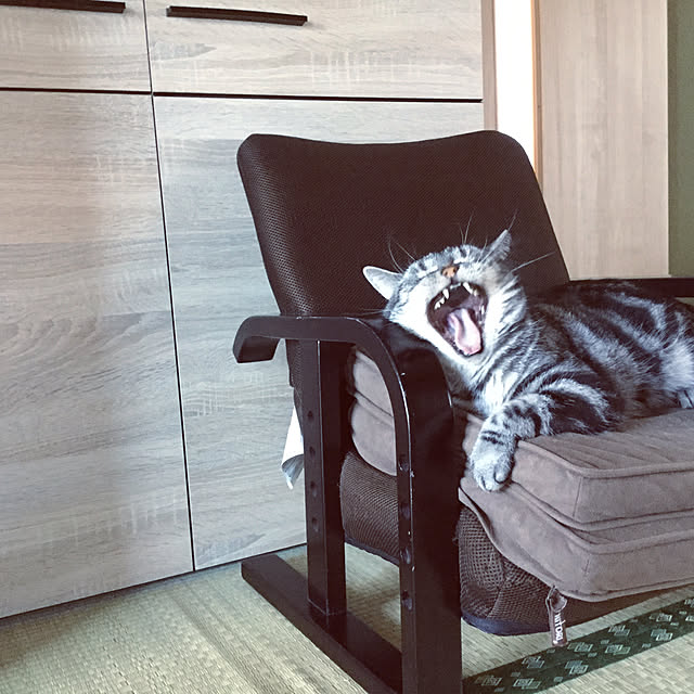 richanさんの実例写真
