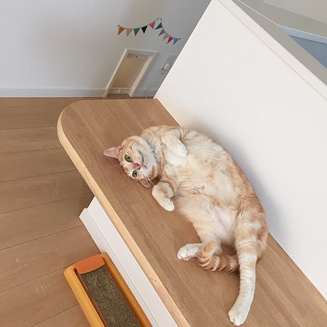 Minakoさんの実例写真
