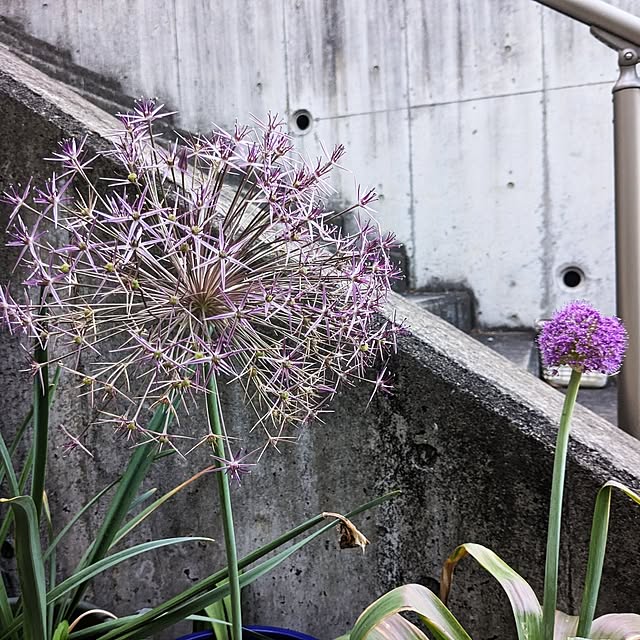 kazuさんの部屋