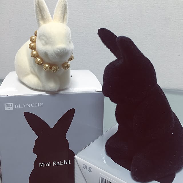 BRILHOさんの実例写真