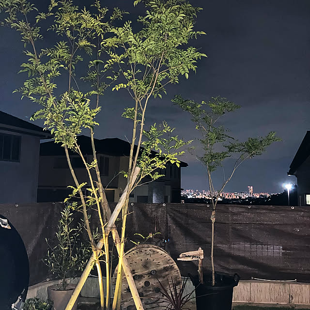 Akehana_Iさんの実例写真