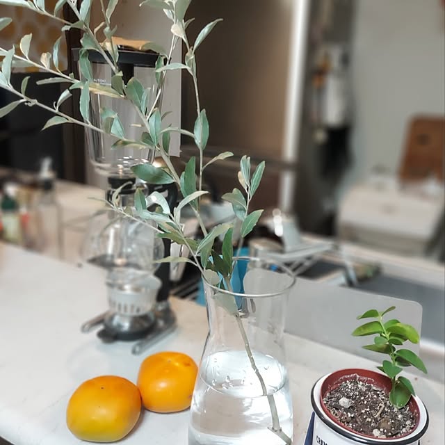 キッチン/IKEA/観葉植物のインテリア実例 - 2023-10-10 17:11:06