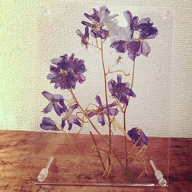 sapiniaさんの実例写真