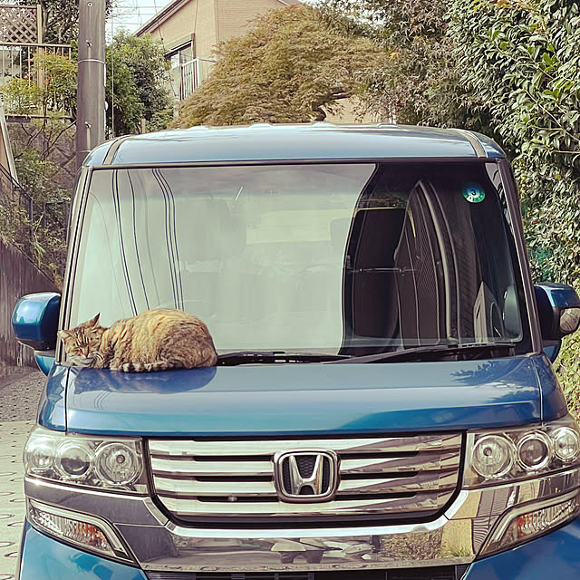 sucoriさんの実例写真