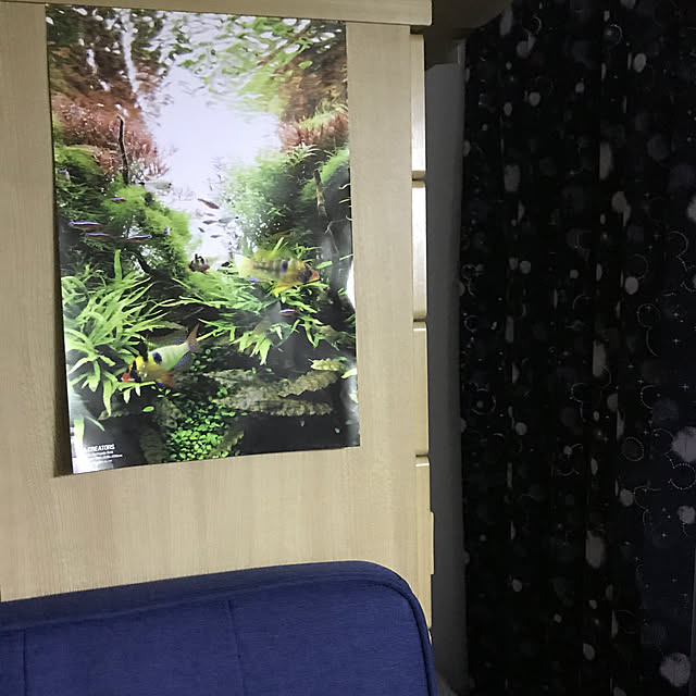 kouta_Co.さんの実例写真