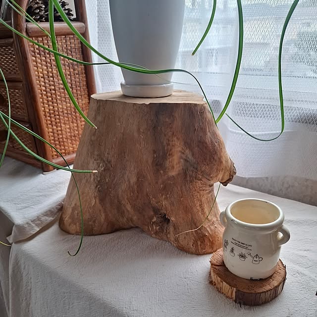 midoriさんの部屋