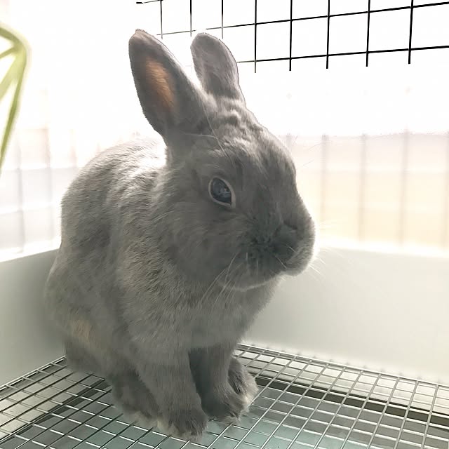 Marumoさんの実例写真