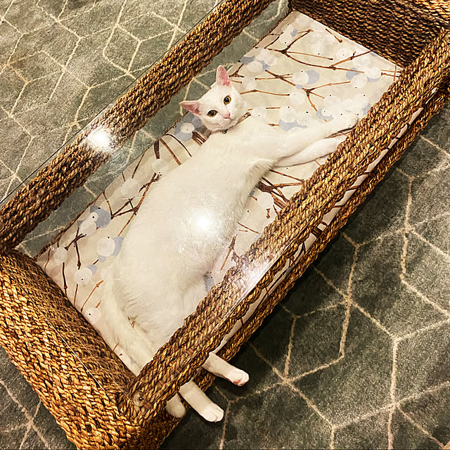 hanaさんの実例写真