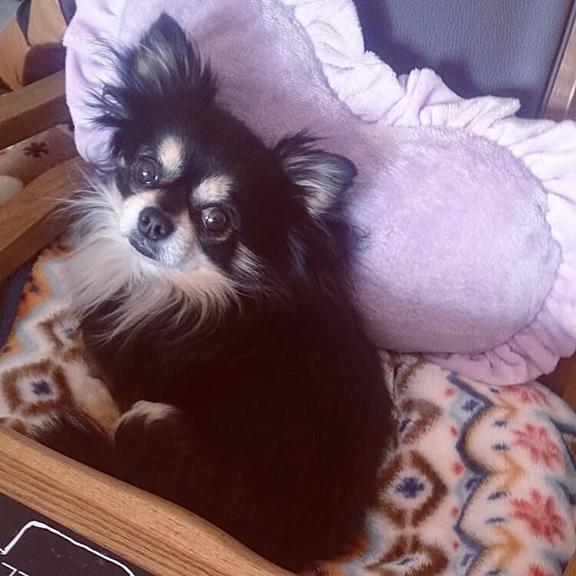 lovedaiさんの実例写真
