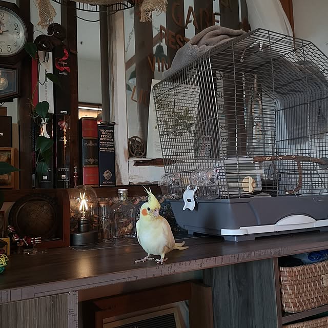 akiさんの実例写真