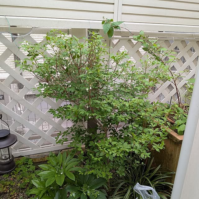 Bienvenueさんの部屋