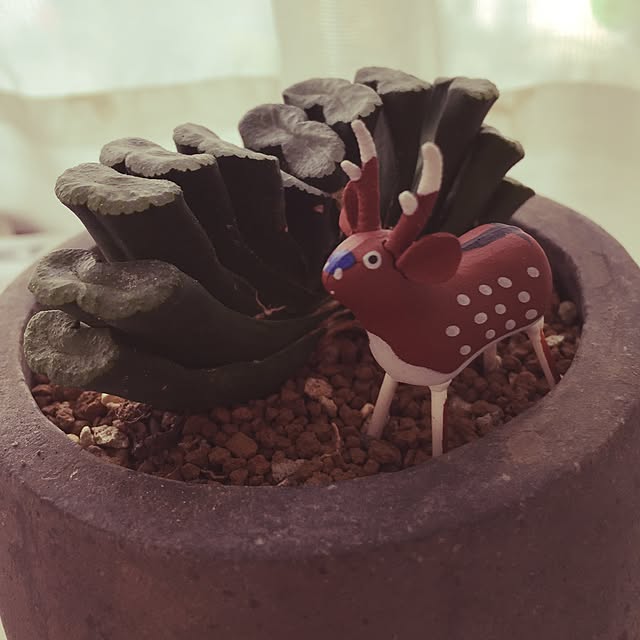 実例写真