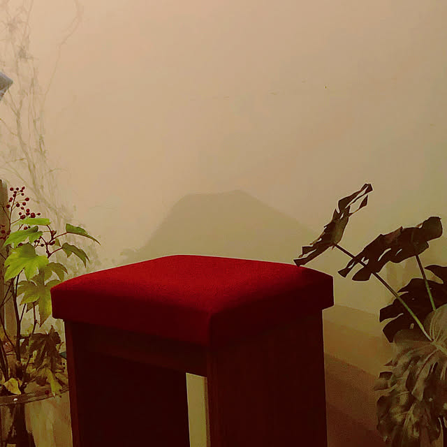 chacoさんの実例写真