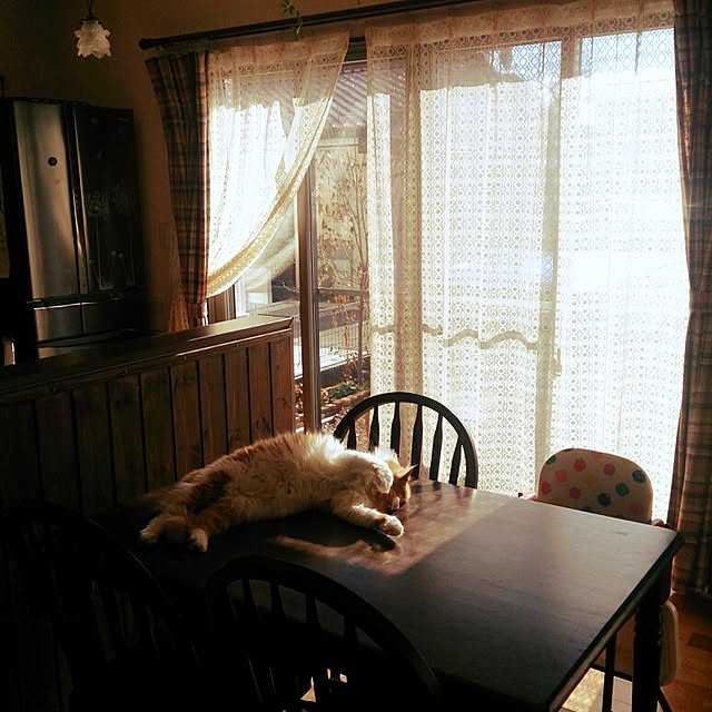 annさんの実例写真