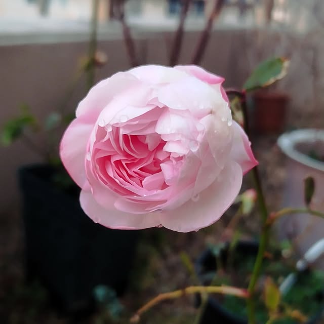 hiromimiさんの部屋