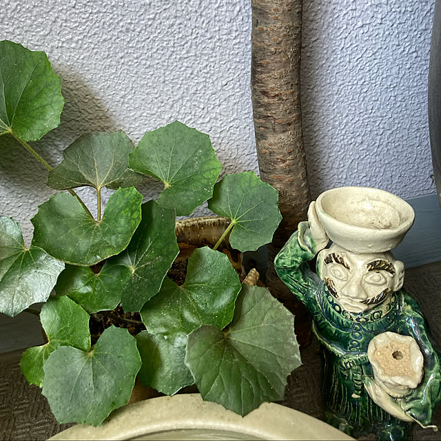 goeさんの実例写真