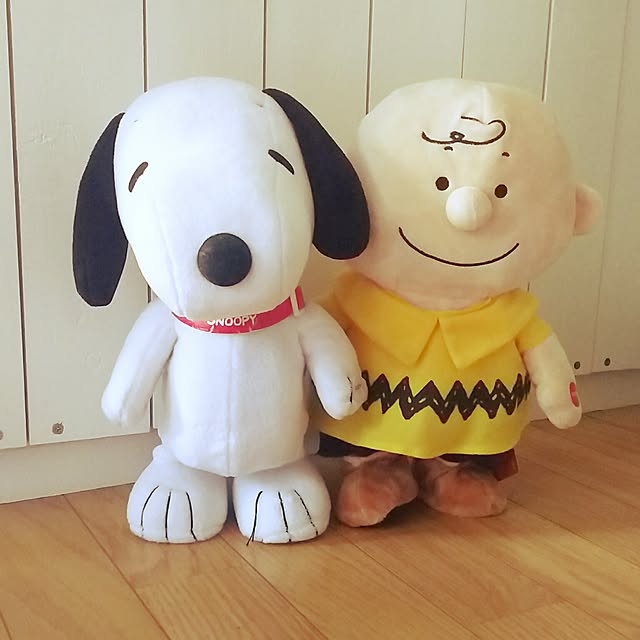 izupezさんの実例写真