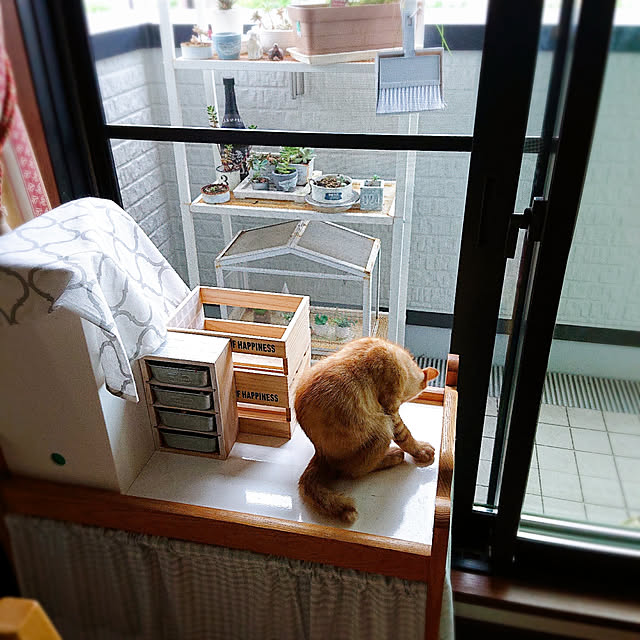kikiさんの実例写真