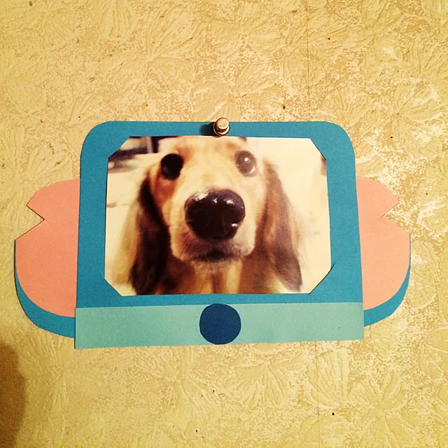 Ayumiさんの実例写真