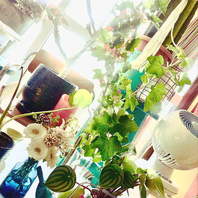 pochi3461さんの実例写真