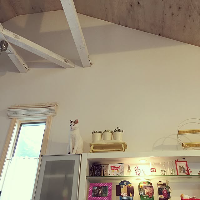 acooさんの実例写真