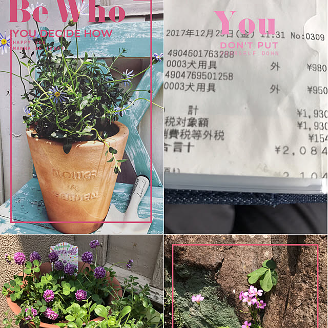 seroriさんの実例写真