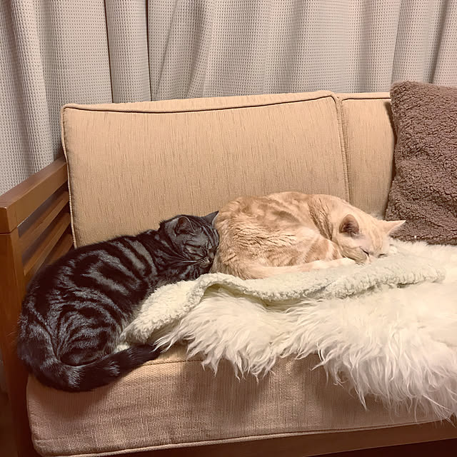 hiyupan88さんの実例写真