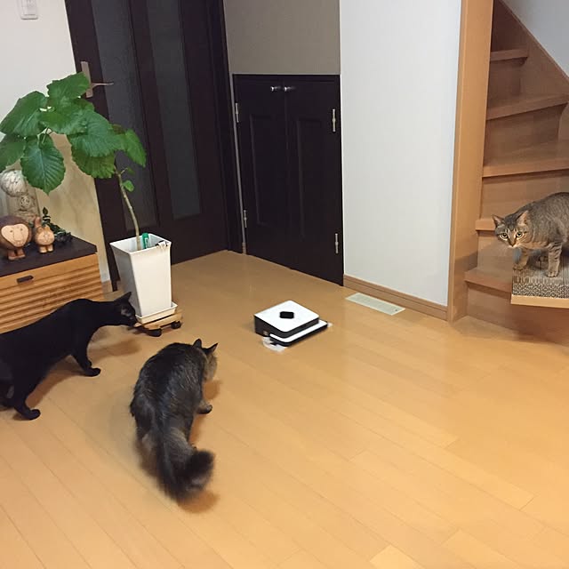 yuki0511さんの実例写真