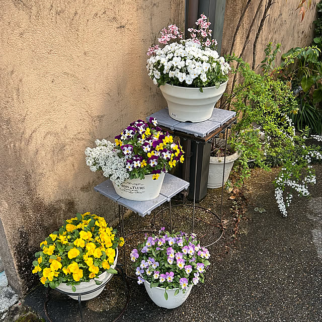 fumikoiさんの実例写真