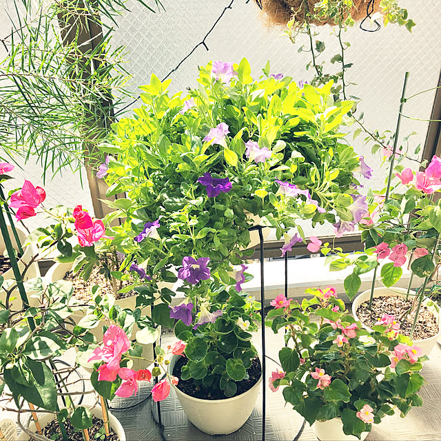 yuko25さんの実例写真