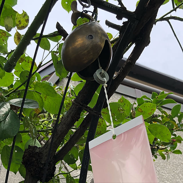 nurippuさんの実例写真