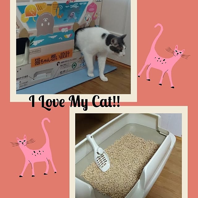 38catさんの実例写真