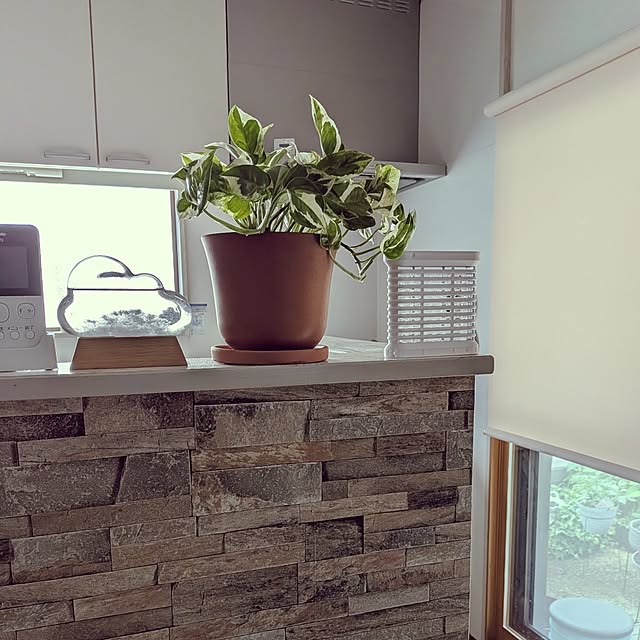 Renさんの実例写真