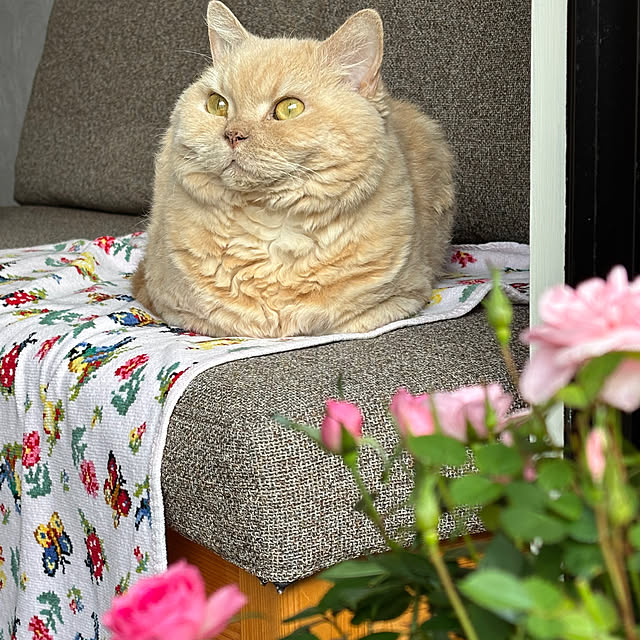 naokoさんの部屋