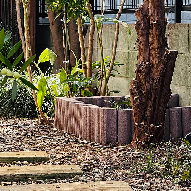 chacoさんの部屋