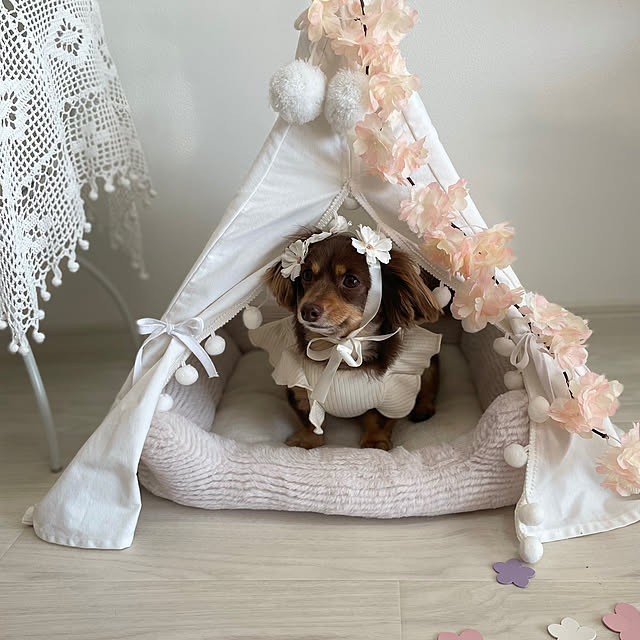 emiさんの部屋