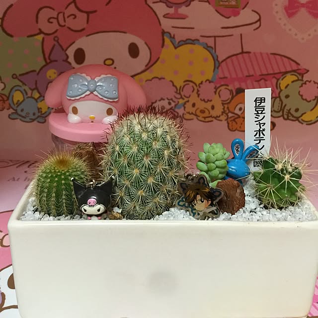 kuromiさんの実例写真