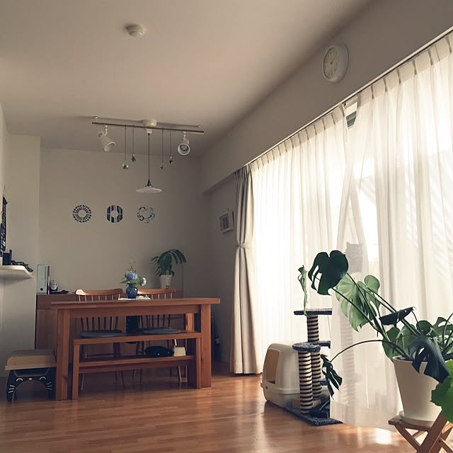 hiyupan88さんの実例写真