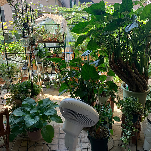 Aqettyさんの部屋