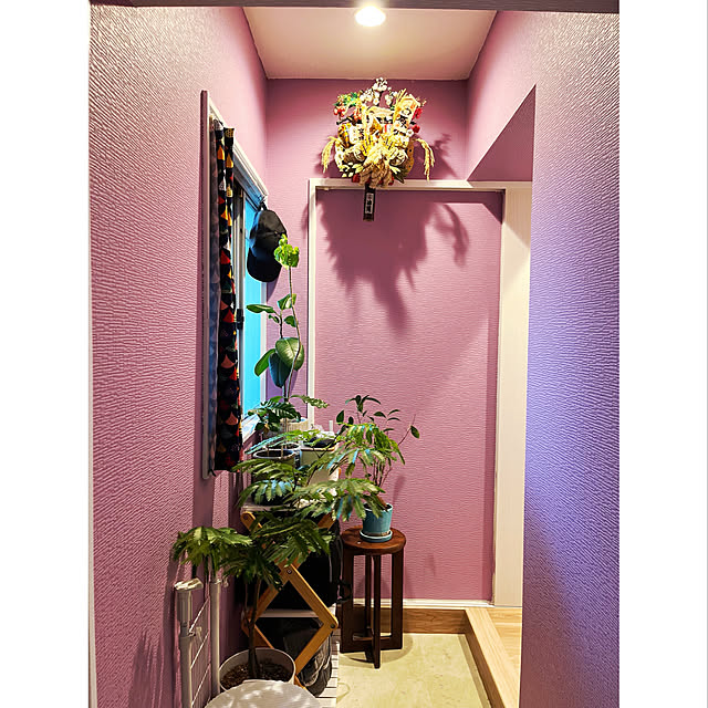 玄関/入り口/一人暮らし/観葉植物　のインテリア実例 - 2021-12-12 16:01:03